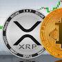 @xrp_millionaire