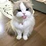 @2749zzzzz
