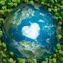 @tendergreenheart6793