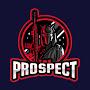@TheProspectCODchannel