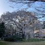 @衛-u5d
