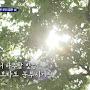 @류엘러