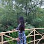 @sweetisinha6177