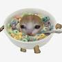 @cerealcattttt