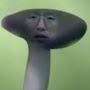 @케인개입