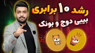 درآمد 10 برابری با بیبی دوج و بونک | نقاط دقیق ورود و خروج