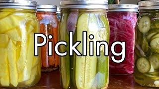 3 Easy Ways How To Pickle Vegetables and Fruits, Pickels, Onions, Mango, Carrots, Beans