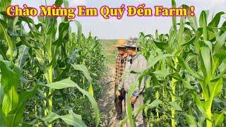 Linh Philip || Lần Đầu Tiên Trợ Lý Mới Xuất Hiện Trong Việt Phi Farm !!!