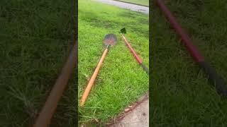 Lawn needs reviving ️#share#shorts#home#lawncare#diy#lawn#tlc#hoa#gardening#plants#flowers#fyp