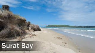 Surat Bay, Catlins, New Zealand | 4K