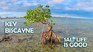 Paddle Key Biscayne - Bill Baggs Cape Florida Lighthouse to Fossilized Reef at Crandon Park, Florida