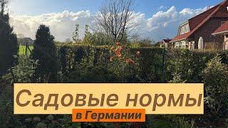 Садовые нормы в Германии: что можно , а что нельзя 