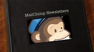 7 Reasons to Send Email Newsletters