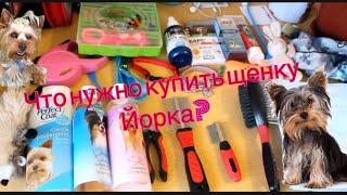 Что купить щенку Йорка? Появление щенка в доме,первые покупки