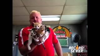 Most Kittens Held in a Single Hand (World Record!)