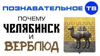 Почему называется ЧЕЛЯБИНСК и в гербе верблюд? (Познавательное ТВ, Артём Войтенков)