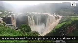 India's tallest waterfall in full flow