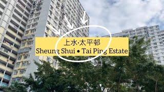 車站任我行 HK Station Journey (44) 上水太平邨 Sheung Shui Tai Ping Estate