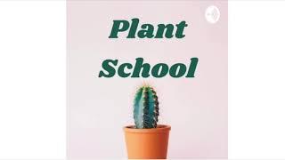 Caring for Christmas Plants PART ONE | Plant School Podcast Ep. 17