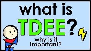 What is TDEE? (Total Daily Energy Expenditure)