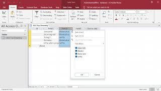 First Look at Microsoft Access