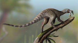 The Mystery of Pterosaur Origins