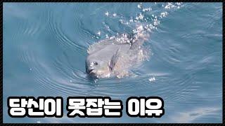 벵에돔 잡을 준비 됐습니까?