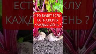 Что будет если есть свеклу каждый день? #свекла #пользасвеклы #здоровье #чемполезнасвекла #зож #пп