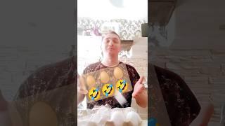 отборный юмор #funny #funnyvideo #shortsvideo #shorts #rodinapamir