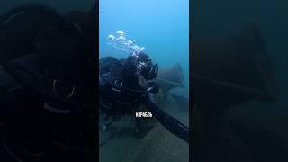 Затонувший корабль в Черном море  #aksenovscubadiving #дайвинг