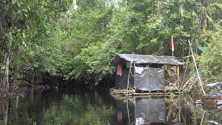 MALAM KE - 4 DI HUTAN RAWA, DAN PANEN PERANGKAP IKAN PUN TERJADI SAAT AIR RAWA SEMAKIN SURUT.. !!