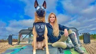 THE BELGIAN MALINOIS -  MEET ULTIMATE SUPER SOLDIER DOG - 'SCARLETT'