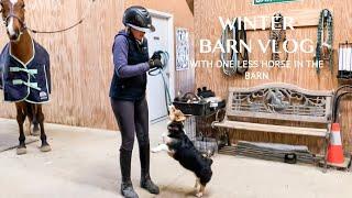 THERE’S ONE LESS HORSE IN THE BARN (BARN VLOG)