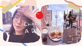 【中文 Vlog】A Day in My Life in Toronto 多伦多日常生活