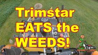 Hustler Trimstar Eats the WEEDS! Watch me work...