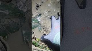 한번 보세세요 #shorts #해루질 #해루부부