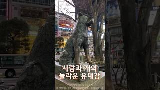 사람과 개의 놀라운 유대감