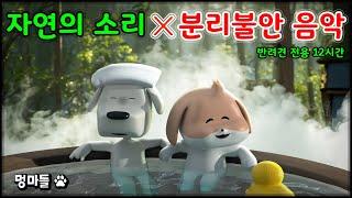 #멍마들  강아지를 위한 고요한 시간~ 분리불안 극복 영상  (12시간) - Quiet time for your dog