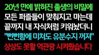 실화사연- 20년 만에 밝혀진 출생의 비밀에 모든 퍼즐들이 맞춰지고 마는데 끝까지 내 자식처럼 키워놨더니 상상도 못할 역관광 시켜줬습니다ㅣ라디오드라마ㅣ사이다사연ㅣ