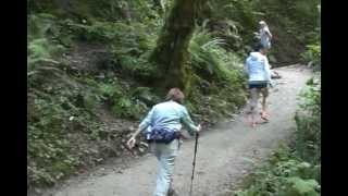 Portland Parks & Recreation's Amazing Forest Park!