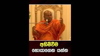 අහිමිවුන දේවල් අත්හැරලා දාන්න! තියෙන දේවල් එක්ක සතුටින් ජීවත්වෙන්න