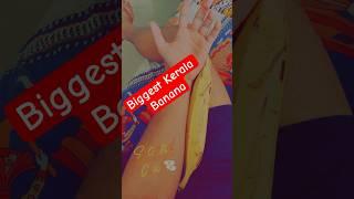 Biggest KeralaBanana #biggest #keralabananachips #banana #kerala #yt #ytshorts #shorts #viral #views