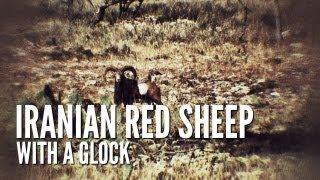 GLOCKing an Iranian Red Sheep | Texas Exotic Hunt