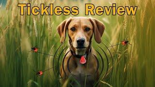 Tickless: The Ultimate Flea & Tick Solution? Our In-Depth Review & Real Results