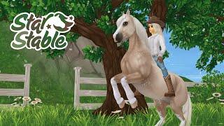 Покупаем обновленного ВАЛИЙЦА и болтаем :D | STAR STABLE ONLINE