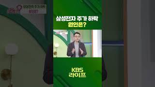 삼성전자 주가 하락 원인은? [무엇이든 물어보세요] | KBS 방송