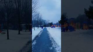 #goviral #food #australiatravel #snowfall #shorts #shorts