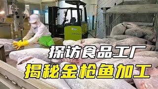 探访食品工厂，高级金枪鱼加工过程