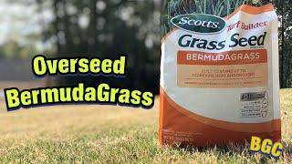 Should I overseed my bermudagrass ?
