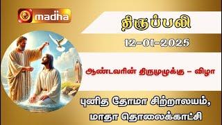 HOLY MASS IN TAMIL | 12.01.2025 | 8.15 AM (Sunday Second Mass) | MADHA TV